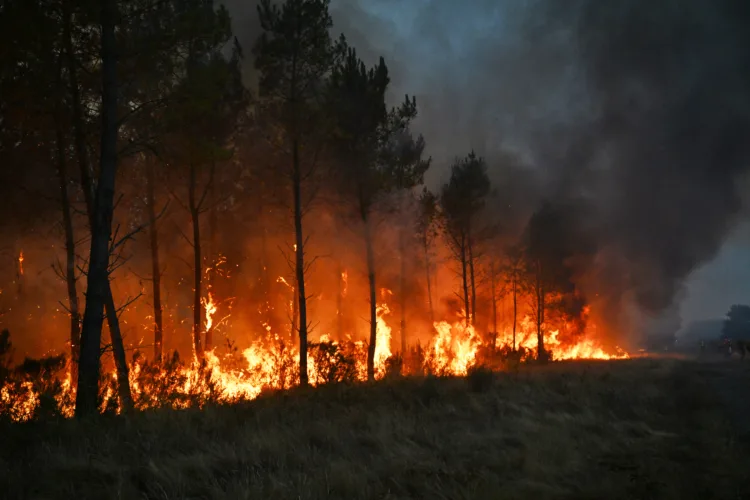 Monster blaze creeps toward wine city of Bordeaux